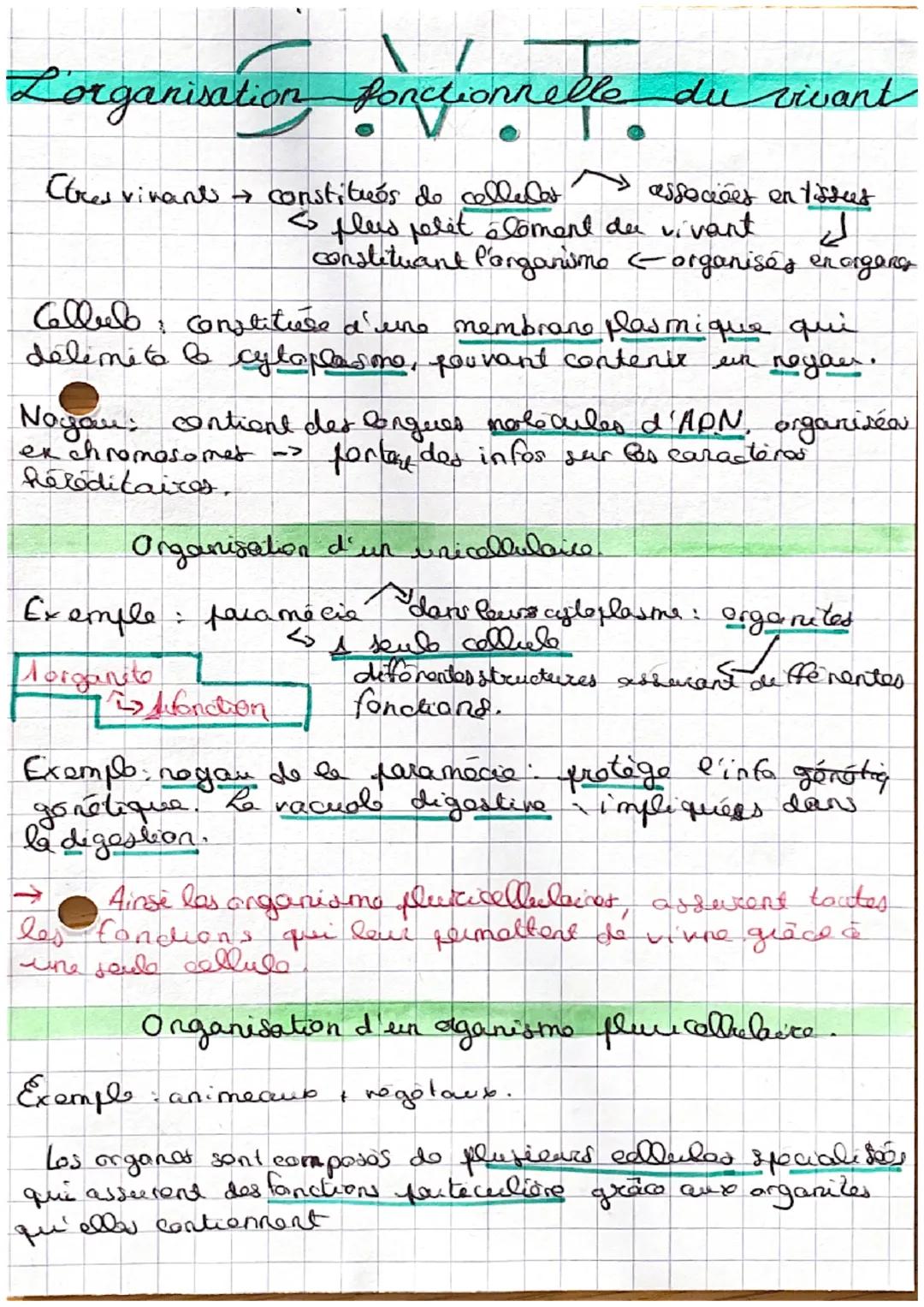 L'organisation Ponctionnelle du vivant
Ctres vivants → constitués de cellules
associées en tissues
< plus pelėt éloment de vivant d
constitu