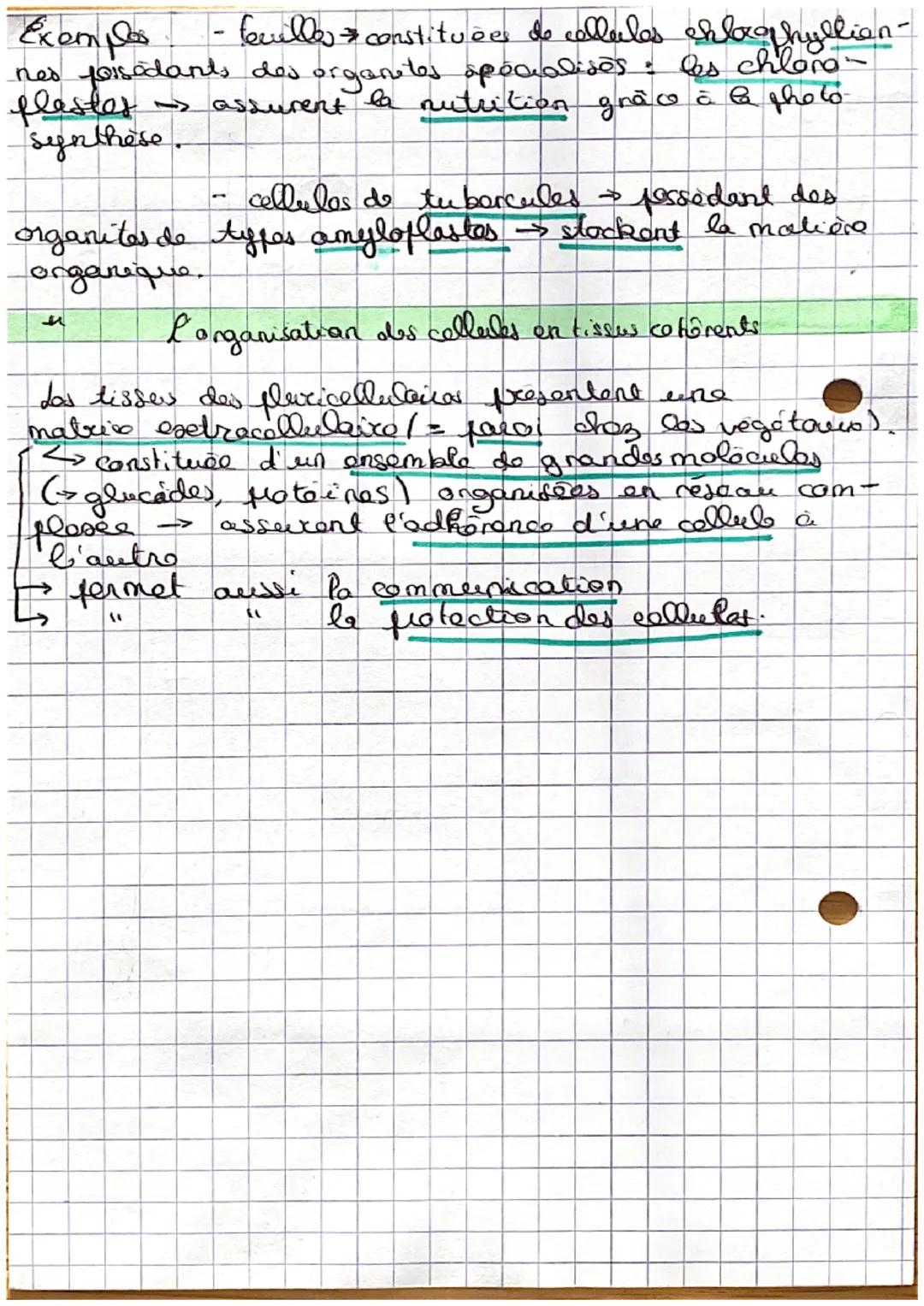 L'organisation Ponctionnelle du vivant
Ctres vivants → constitués de cellules
associées en tissues
< plus pelėt éloment de vivant d
constitu