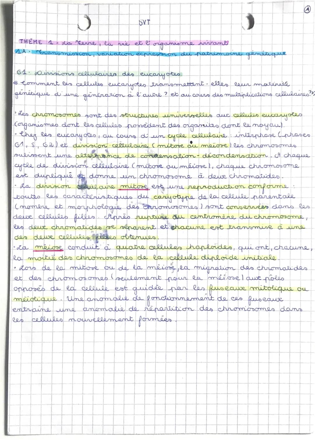 SVT
THEME 1 - La Cerre, la are et l
1A fran
organisme vivant
riation expression du patrimoine génétique
61. Divisions cellulaires des eucary