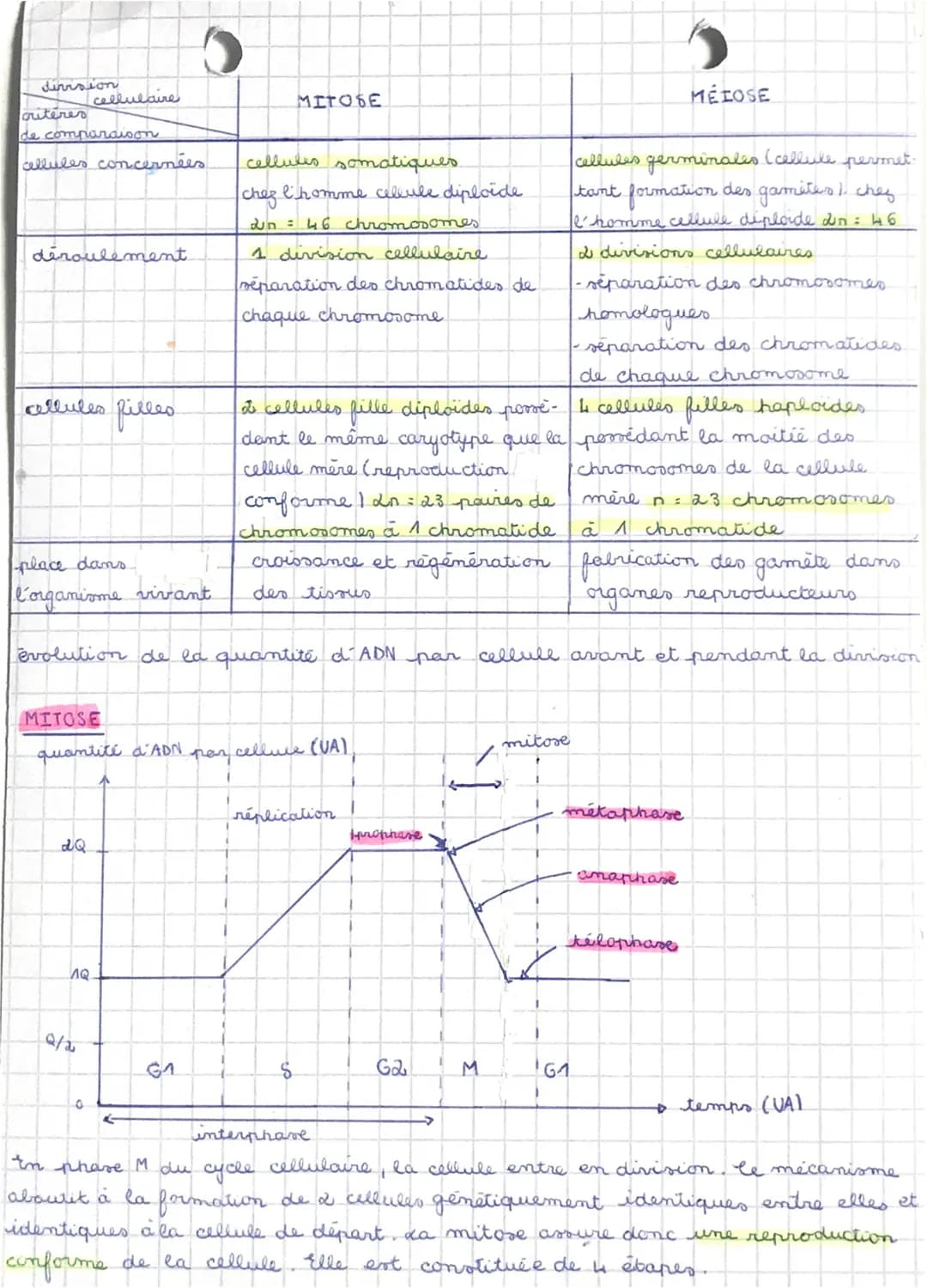 SVT
THEME 1 - La Cerre, la are et l
1A fran
organisme vivant
riation expression du patrimoine génétique
61. Divisions cellulaires des eucary