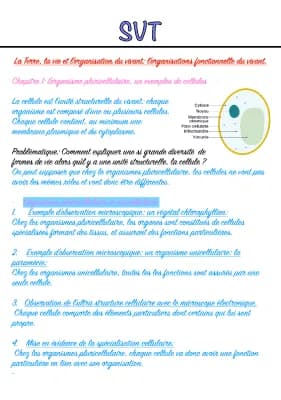 Know La Terre, La vie et l’organisation du vivant: Organisation fonctionnelle du vivant  thumbnail