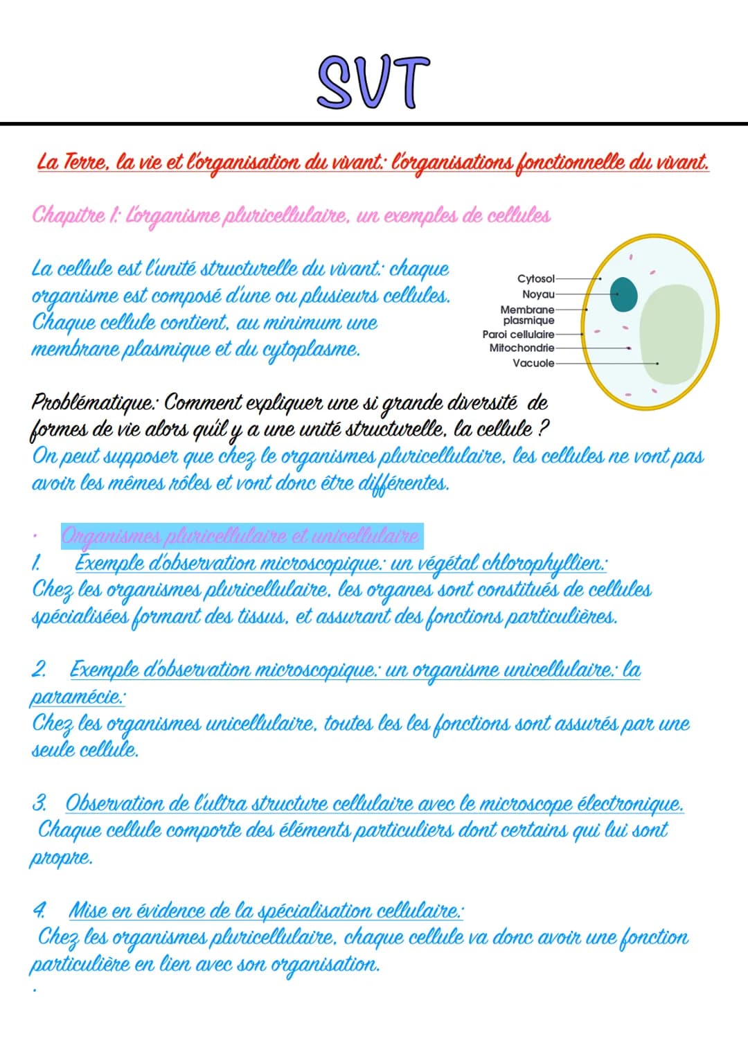 SVT
La Terre, la vie et l'organisation du vivant: l'organisations fonctionnelle du vivant.
Chapitre 1: L'organisme pluricellulaire, un exemp