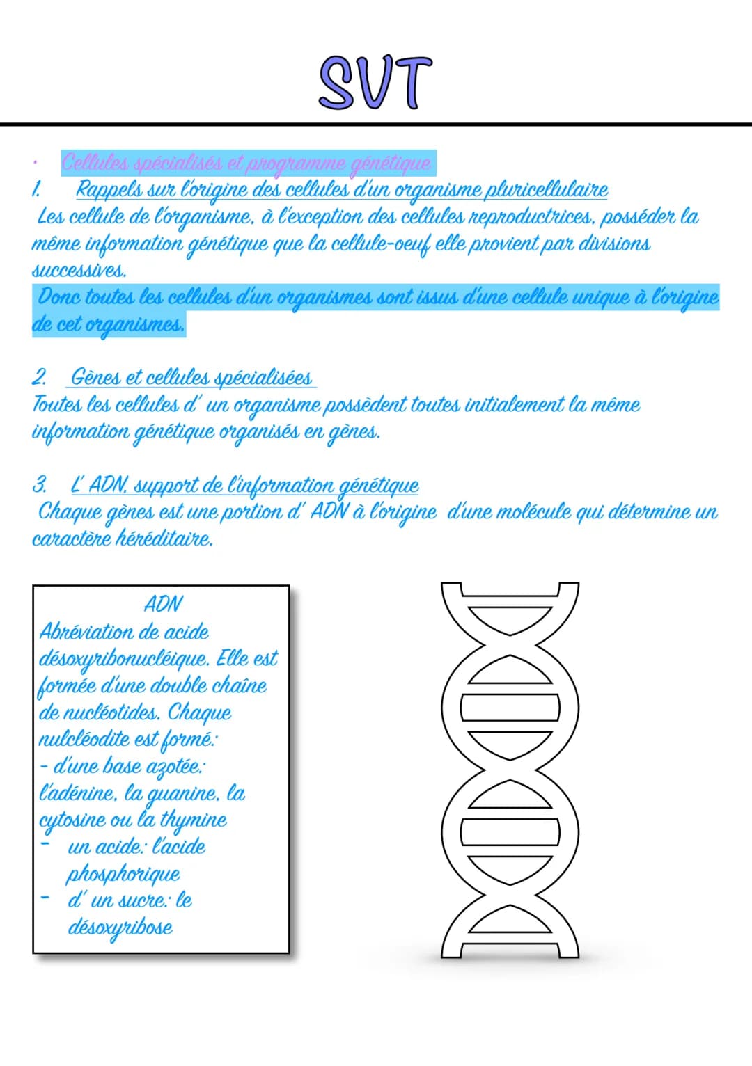 SVT
La Terre, la vie et l'organisation du vivant: l'organisations fonctionnelle du vivant.
Chapitre 1: L'organisme pluricellulaire, un exemp