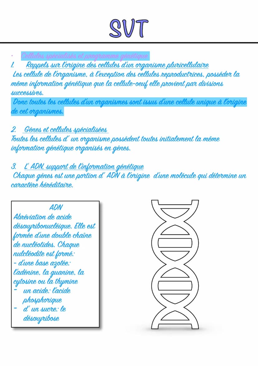 SVT
La Terre, la vie et l'organisation du vivant: l'organisations fonctionnelle du vivant.
Chapitre 1: L'organisme pluricellulaire, un exemp