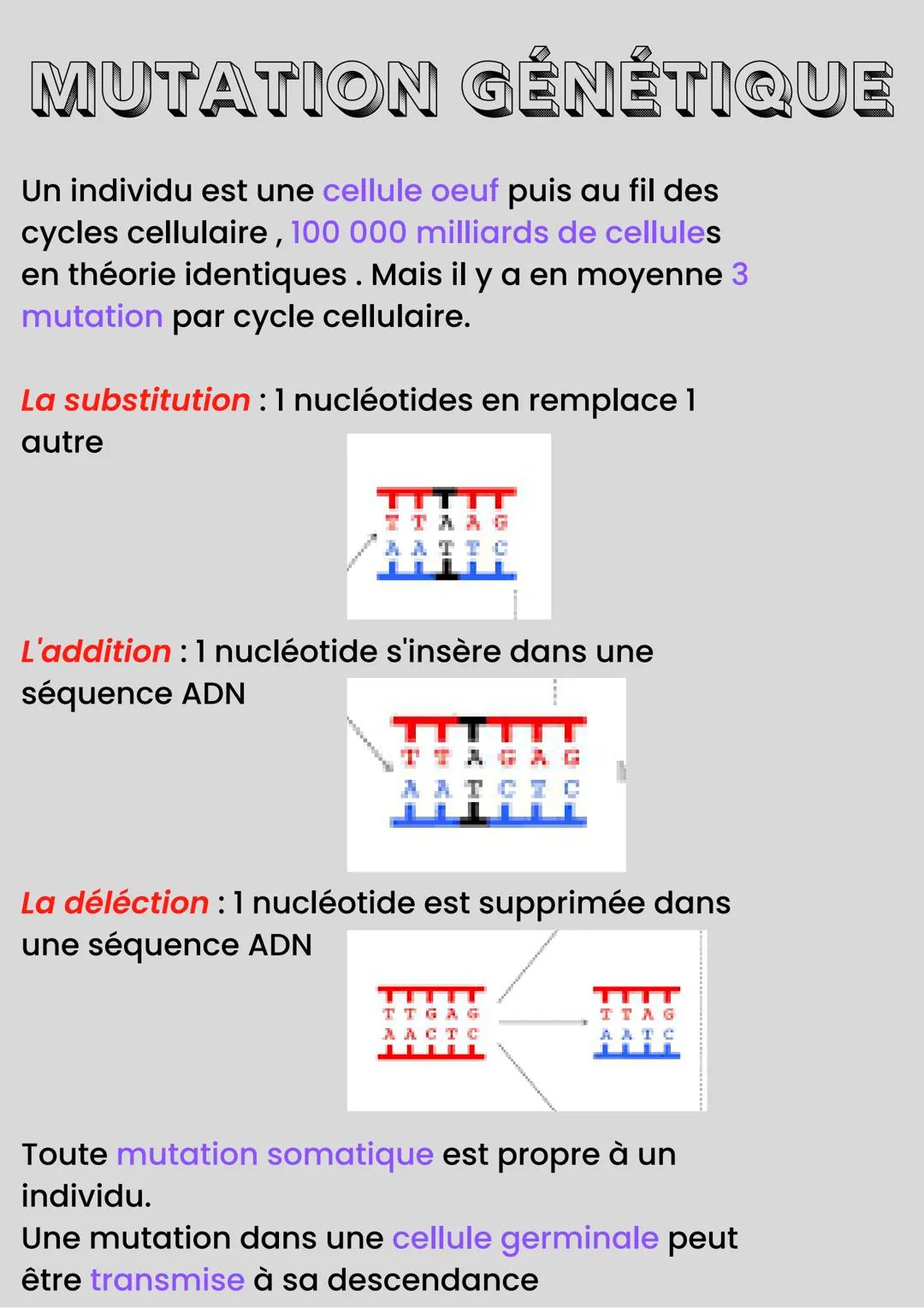 MÉIOSE
Méiose: processus de division cellulaire
qui permet de passer d'une cellule
diploïde à plusieurs cellules haploïdes.
La fécondation :