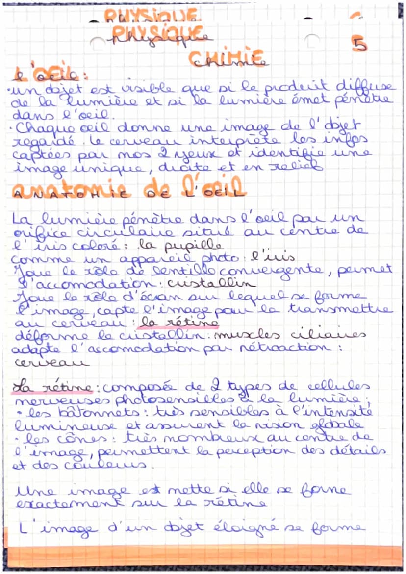 Physique
Les lentilles :
•objet transparent
-modifient la trajectoire des rayons
.
Chimic
convergentes:
lentilles à bords minces et à centre