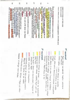 Know Analyse linéaire : Relation maître - servante, Acte 1 scène 5, Le Malade Imaginaire, MOLIÈRE  thumbnail
