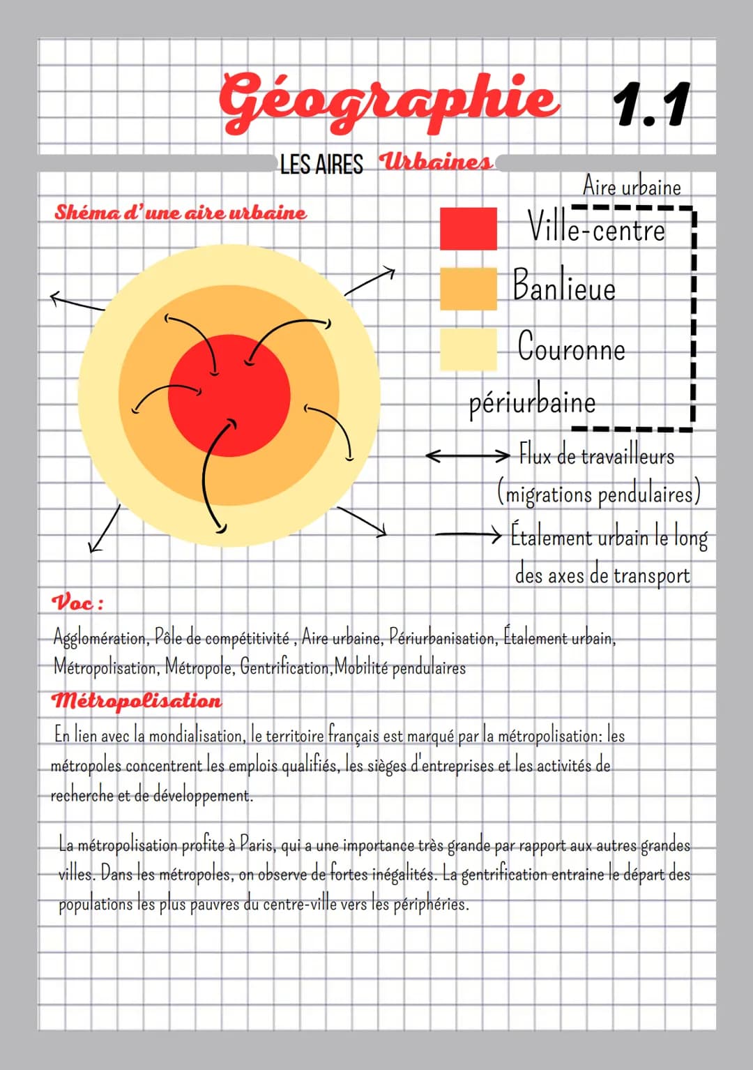 Géographie 1.1
LES AIRES Urbaines
Shéma d'une aire urbaine
•
←
Aire urbaine
Ville-centre
Banlieue
Couronne
périurbaine
Flux de travailleurs
