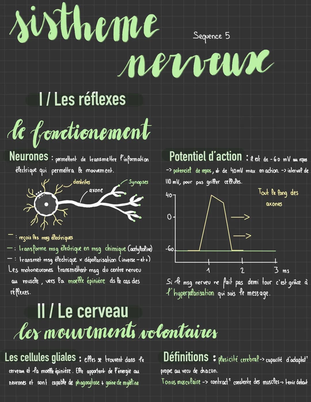 sistheme
Sequence 5
nerveux
I/ Les réflexes
le fonctionement
Neurones : permettent de transmettre l'information
électrique qui permettra le 
