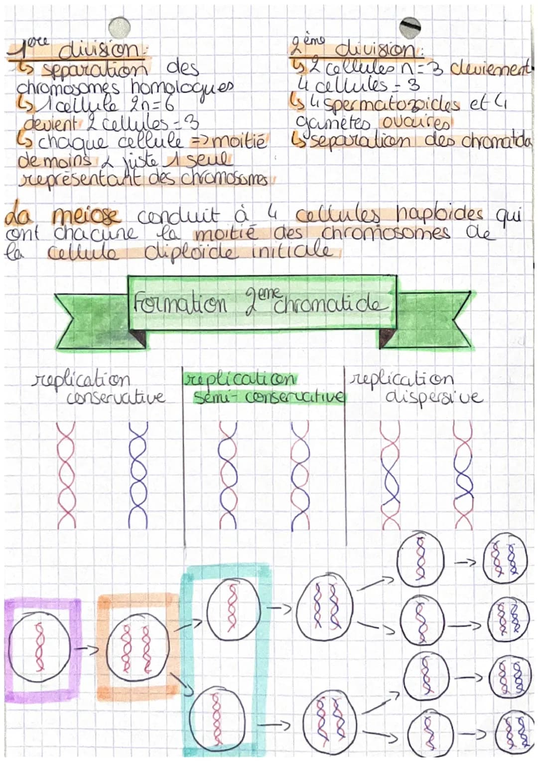 chop transmission,
variation
tw
Definitions
et expression du patrimoine
genetique
• cellute oeufs Mere cellule de l'individu,
issu de la fec