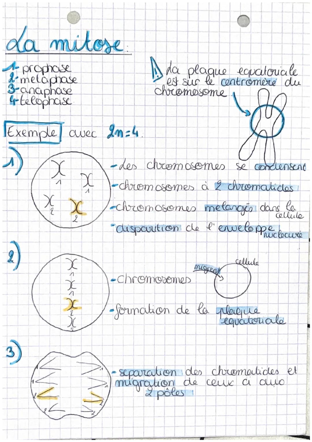 chop transmission,
variation
tw
Definitions
et expression du patrimoine
genetique
• cellute oeufs Mere cellule de l'individu,
issu de la fec