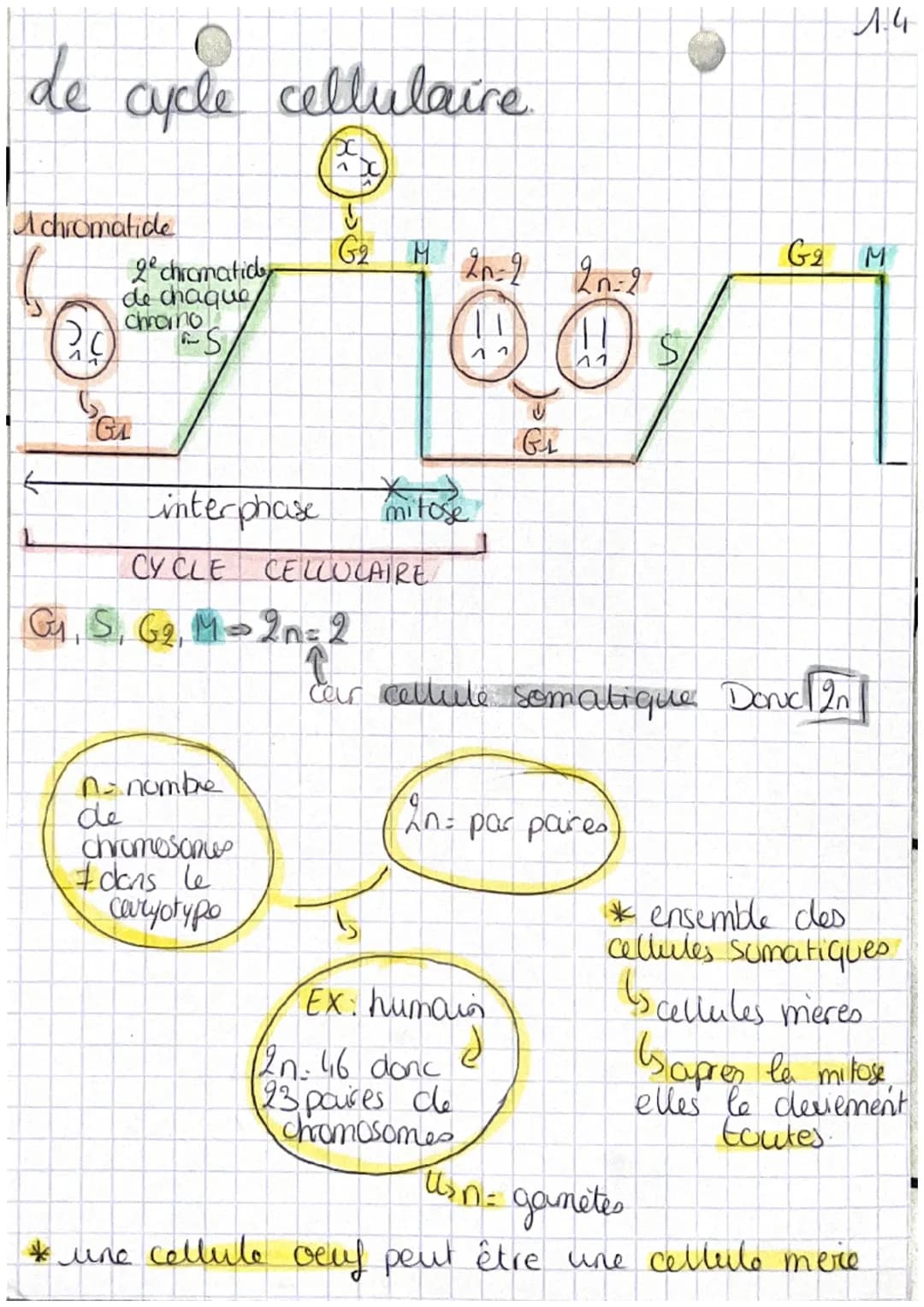 chop transmission,
variation
tw
Definitions
et expression du patrimoine
genetique
• cellute oeufs Mere cellule de l'individu,
issu de la fec