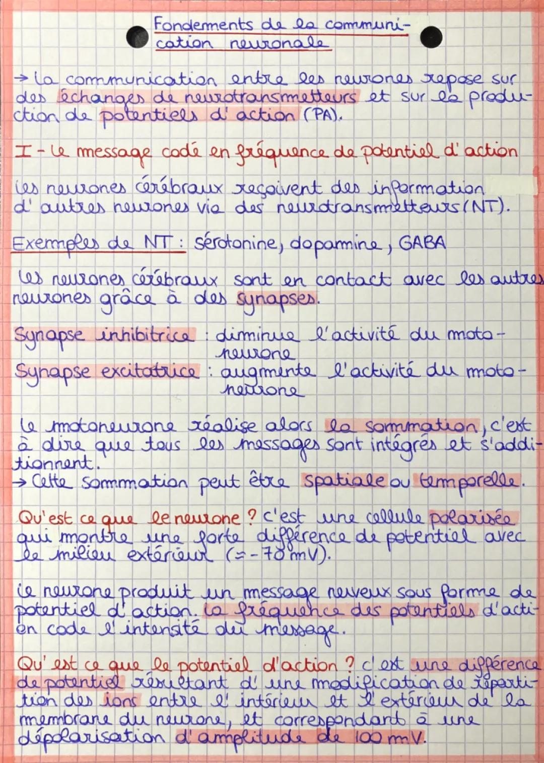 fondement de la communication neuronale 