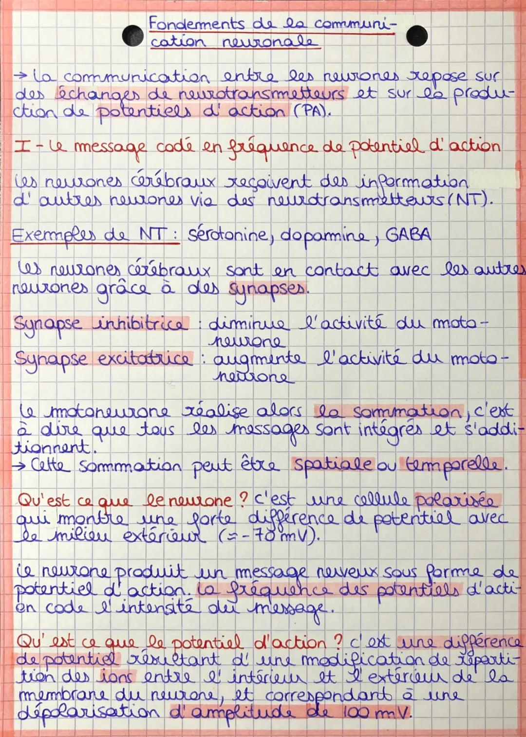 Fondements de la communi-
cation neuronale
→ la communication entre les neurones repose sur
des échanges de neurotransmetteurs et sur la pro