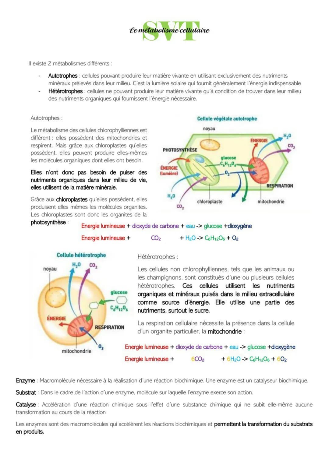 Il existe 2 métabolismes différents :
Autotrophes: cellules pouvant produire leur matière vivante en utilisant exclusivement des nutriments
