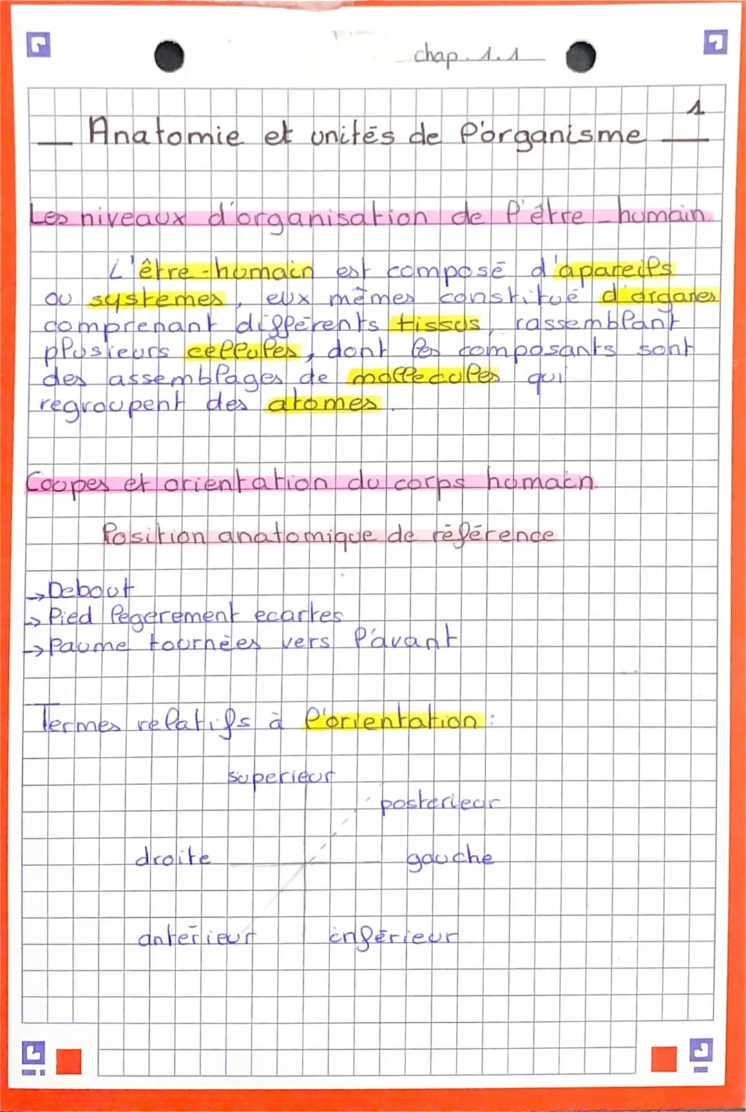 5
Anatomie et unitées de Porganisme
Les niveaux d'organisation de l'être
L'être humain est composé d'aparells
ou systemes
eux mêmes constitu
