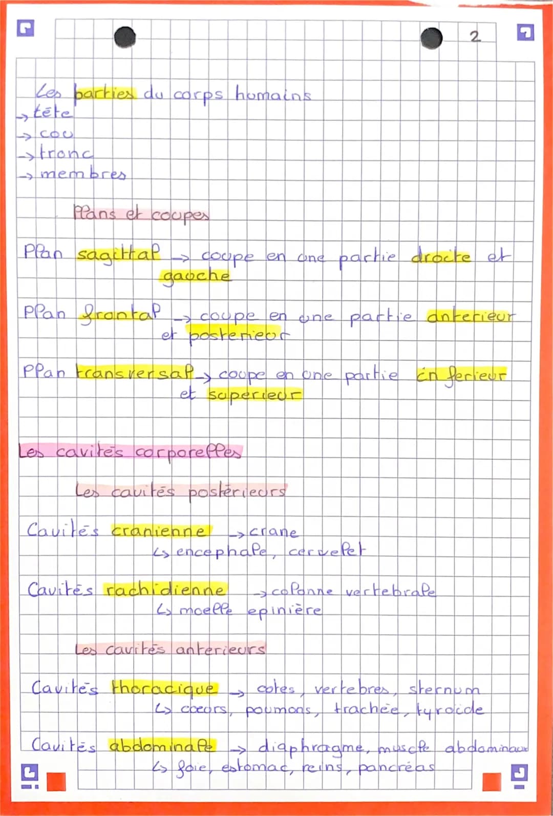 5
Anatomie et unitées de Porganisme
Les niveaux d'organisation de l'être
L'être humain est composé d'aparells
ou systemes
eux mêmes constitu