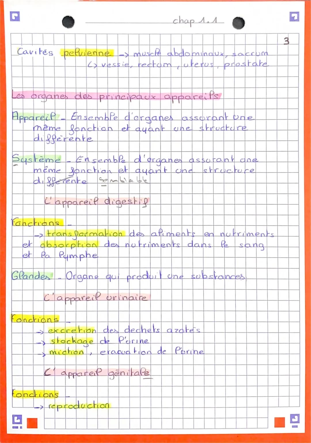 5
Anatomie et unitées de Porganisme
Les niveaux d'organisation de l'être
L'être humain est composé d'aparells
ou systemes
eux mêmes constitu