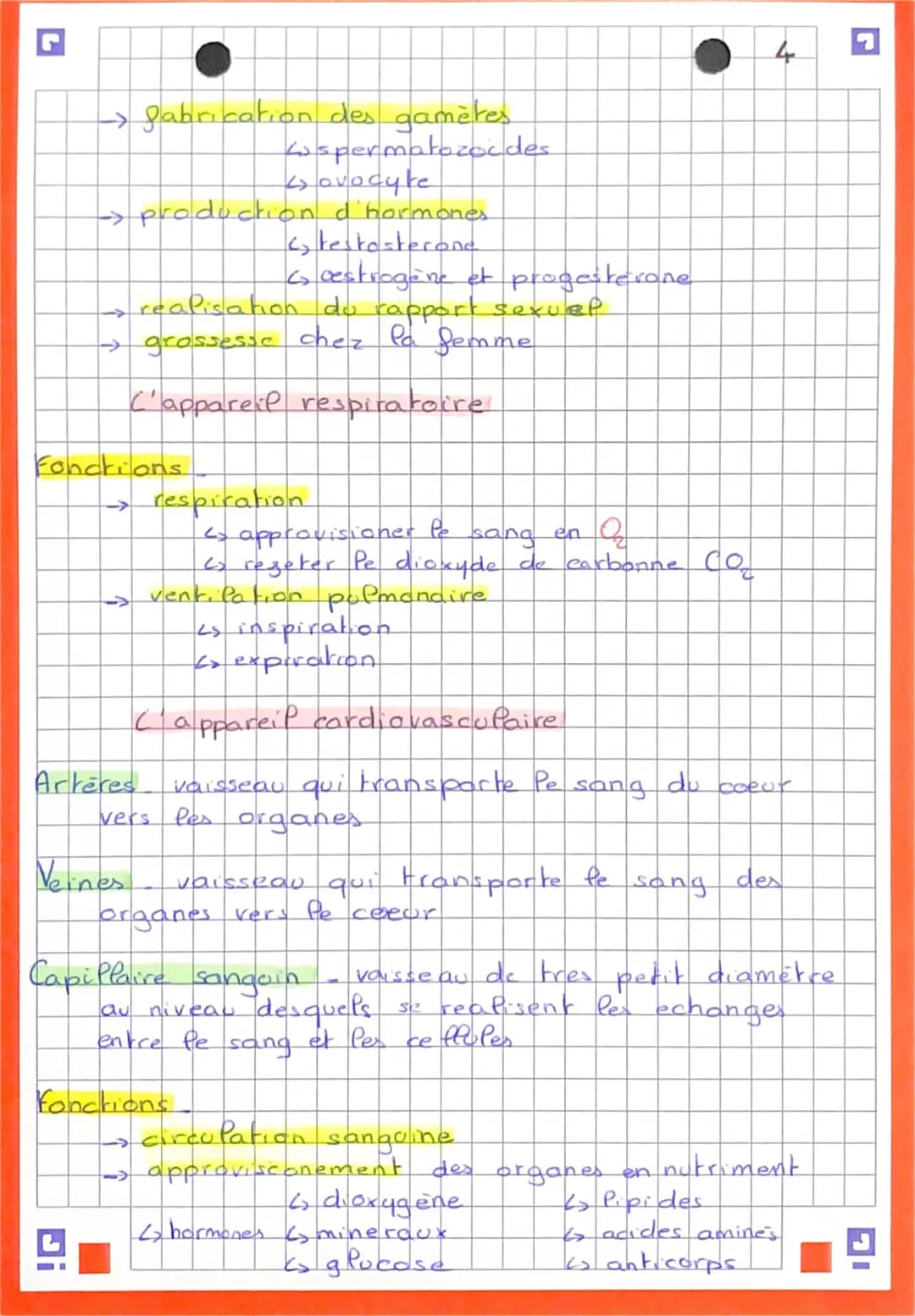 5
Anatomie et unitées de Porganisme
Les niveaux d'organisation de l'être
L'être humain est composé d'aparells
ou systemes
eux mêmes constitu