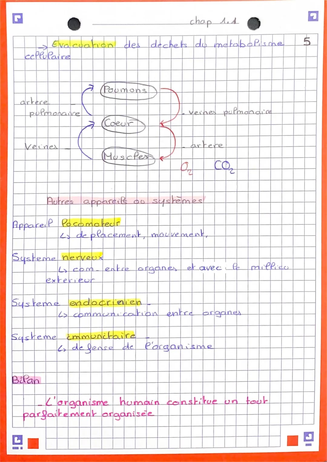 5
Anatomie et unitées de Porganisme
Les niveaux d'organisation de l'être
L'être humain est composé d'aparells
ou systemes
eux mêmes constitu