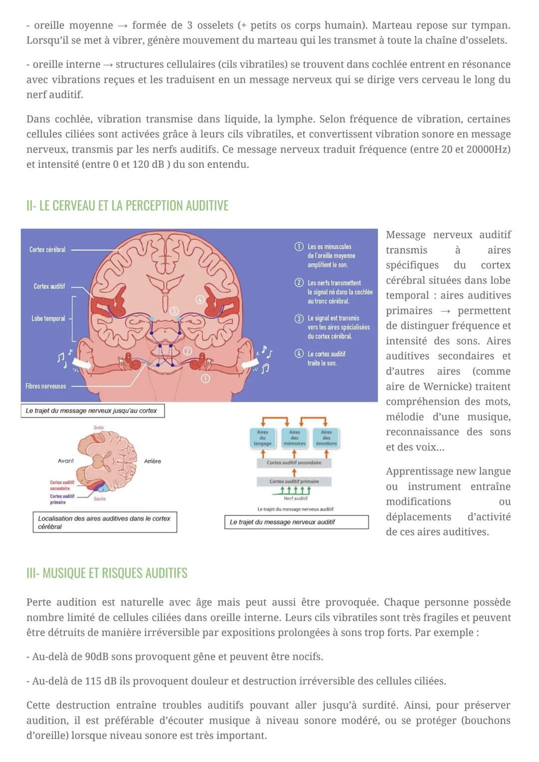 5 sens : vue, ouïe, odorat, goût et toucher. Ouïe correspond à capacité à percevoir son, c'est-à-dire
vibration qui se propage dans air. Pou