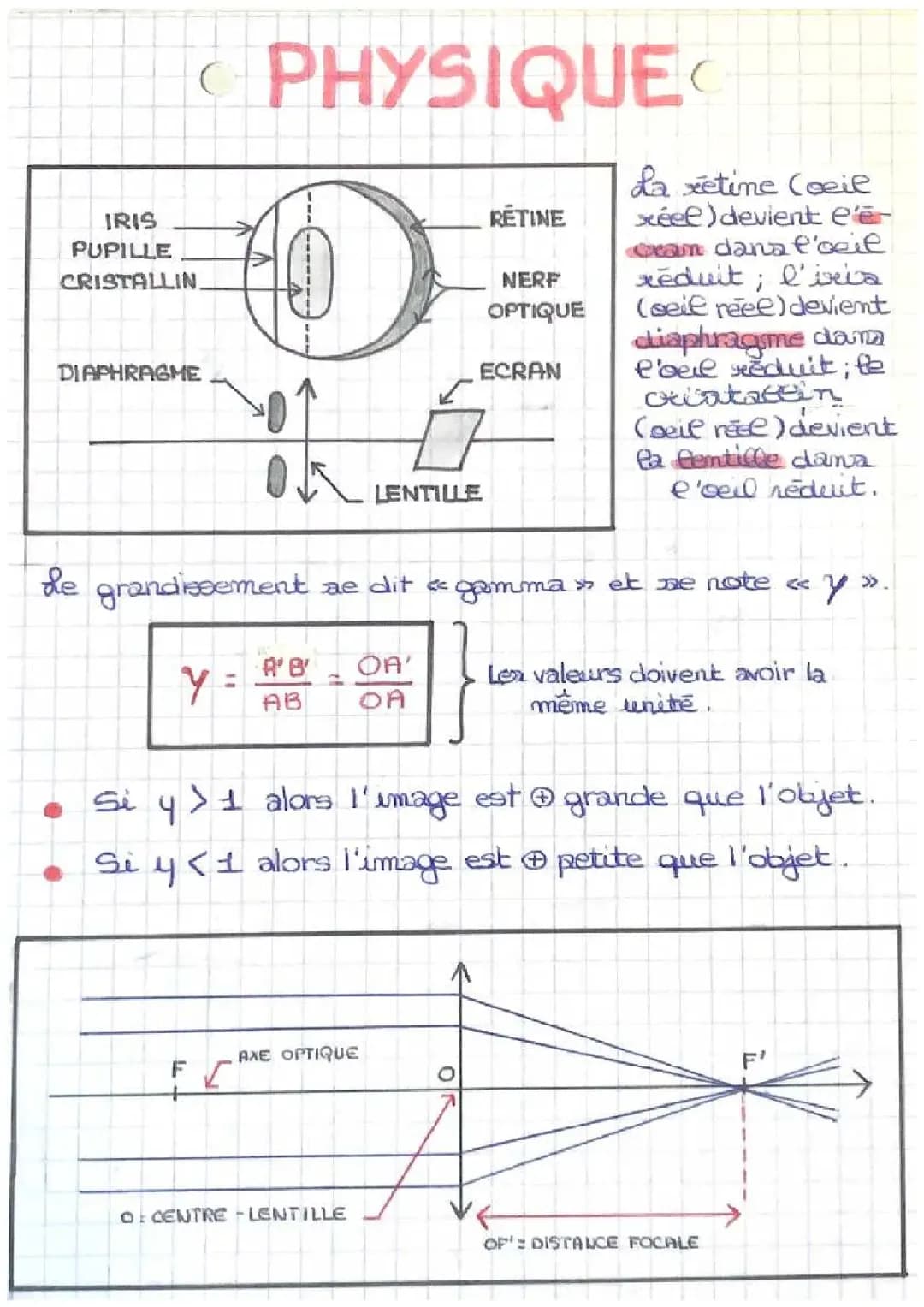 Comment Fonctionne une Lentille Convergente: Distance Focale et Axe Optique!