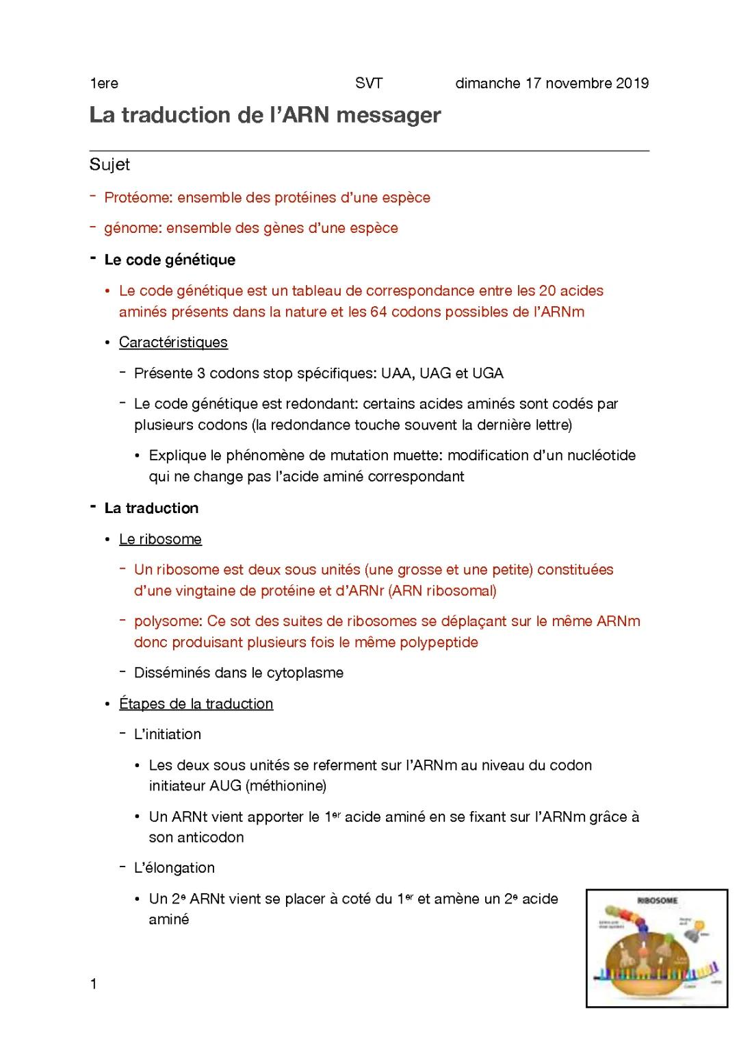 Cours 4.4 - Traduction ARNm
