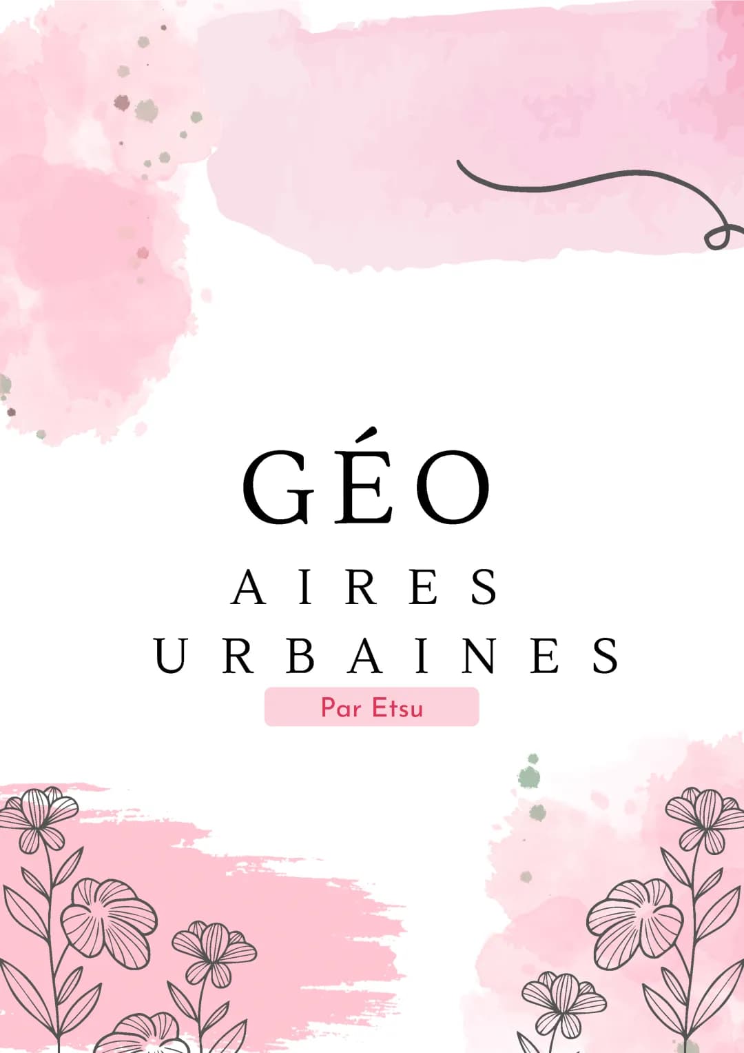 Les aires urbaines 