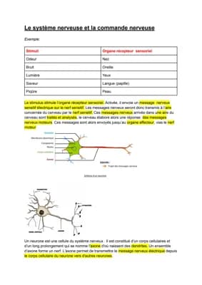 Know Le système nerveux et la commande nerveuse  thumbnail