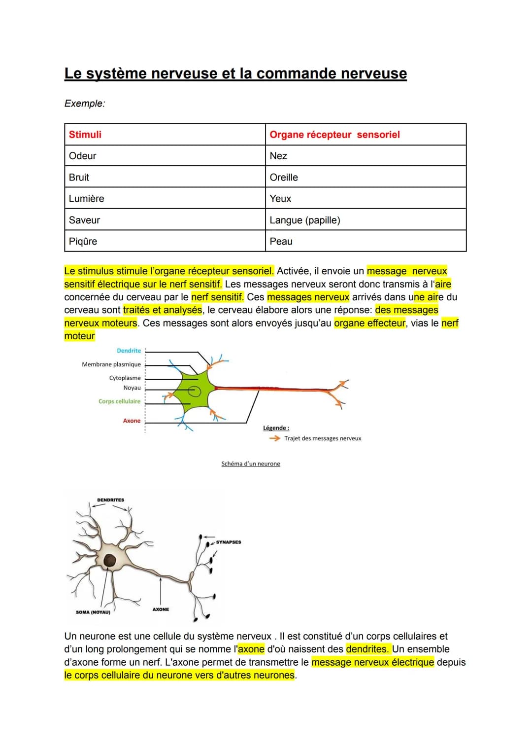 Le système nerveuse et la commande nerveuse
Exemple:
Stimuli
Odeur
Bruit
Lumière
Saveur
Piqûre
Le stimulus stimule l'organe récepteur sensor