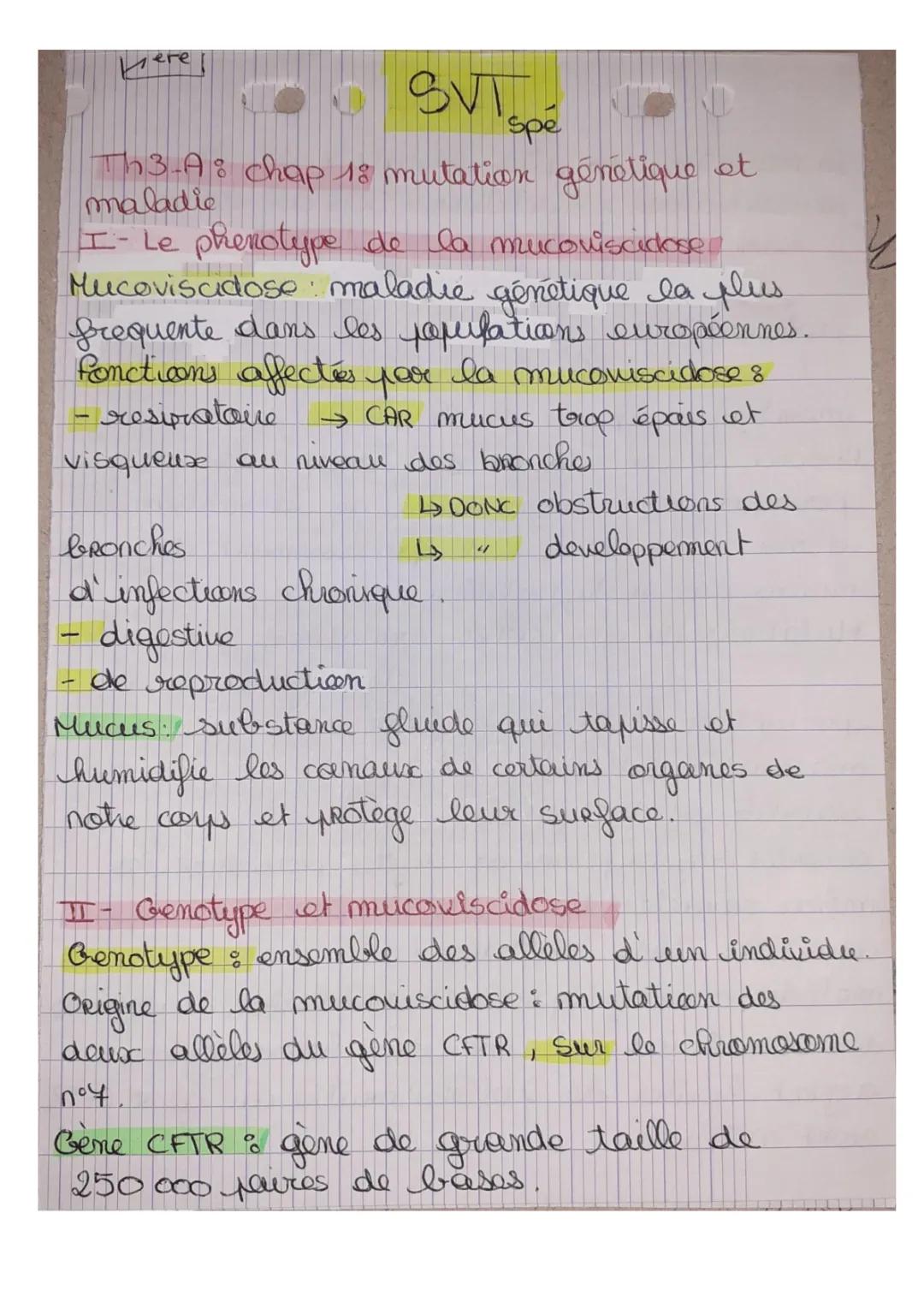 Mucoviscidose : Symptômes, Traitement, et Dépistage