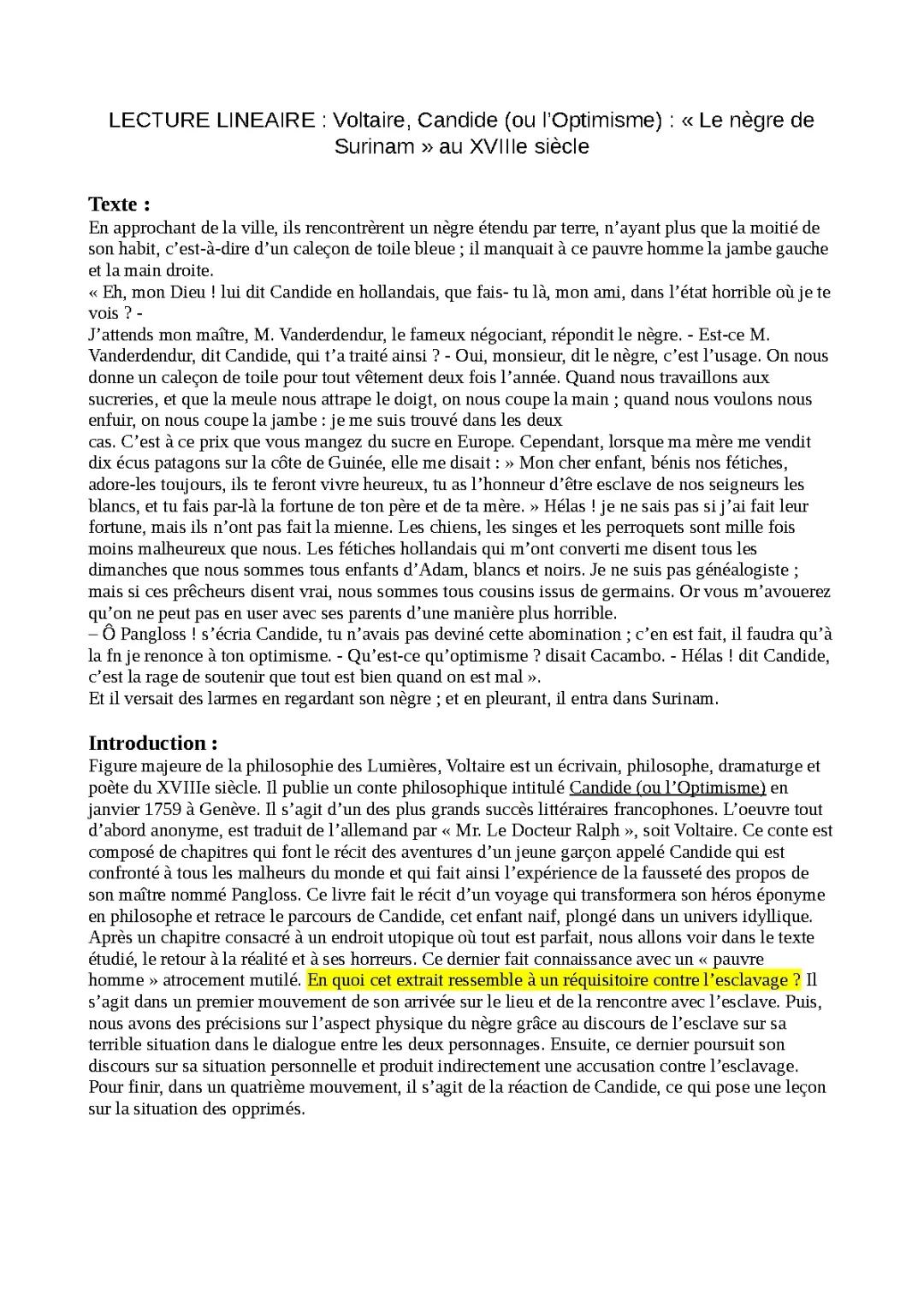 Candide Chapitre 19: Analyse Linéaire et Morale