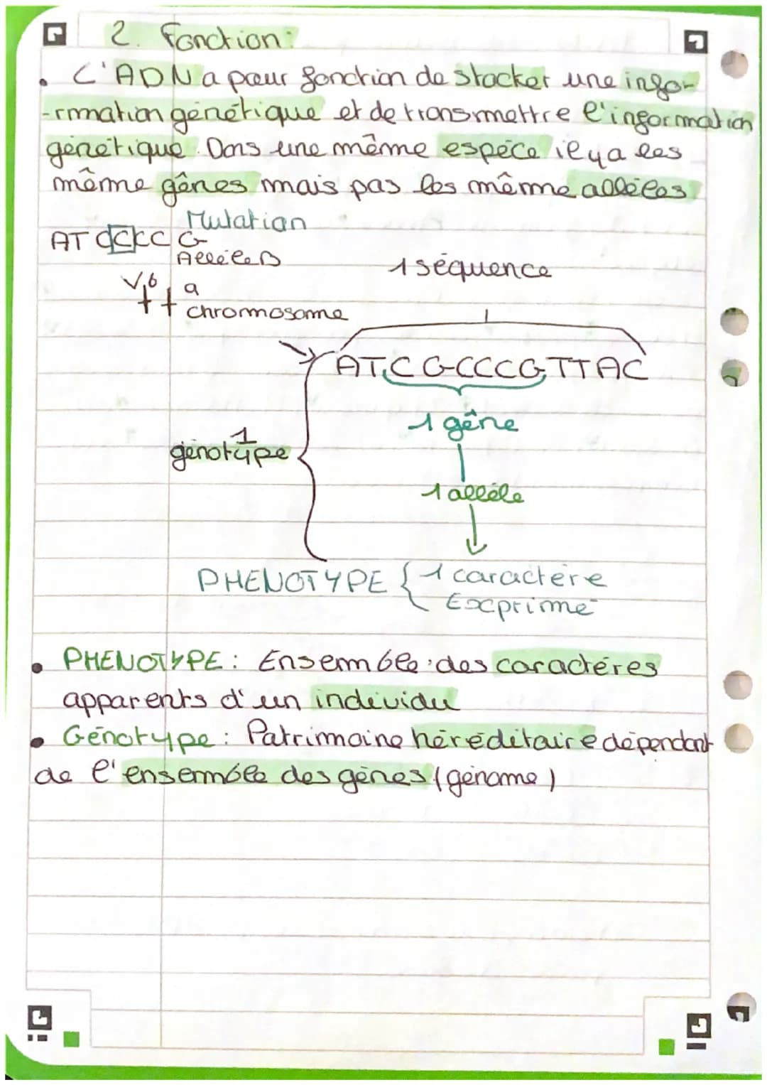 ADN: information génétique
ADN: acide desoxyribonucléaique
- C'ADN est compose do 5 alommes: carbonne,
hydrogène, oxygére, azote et phosphor