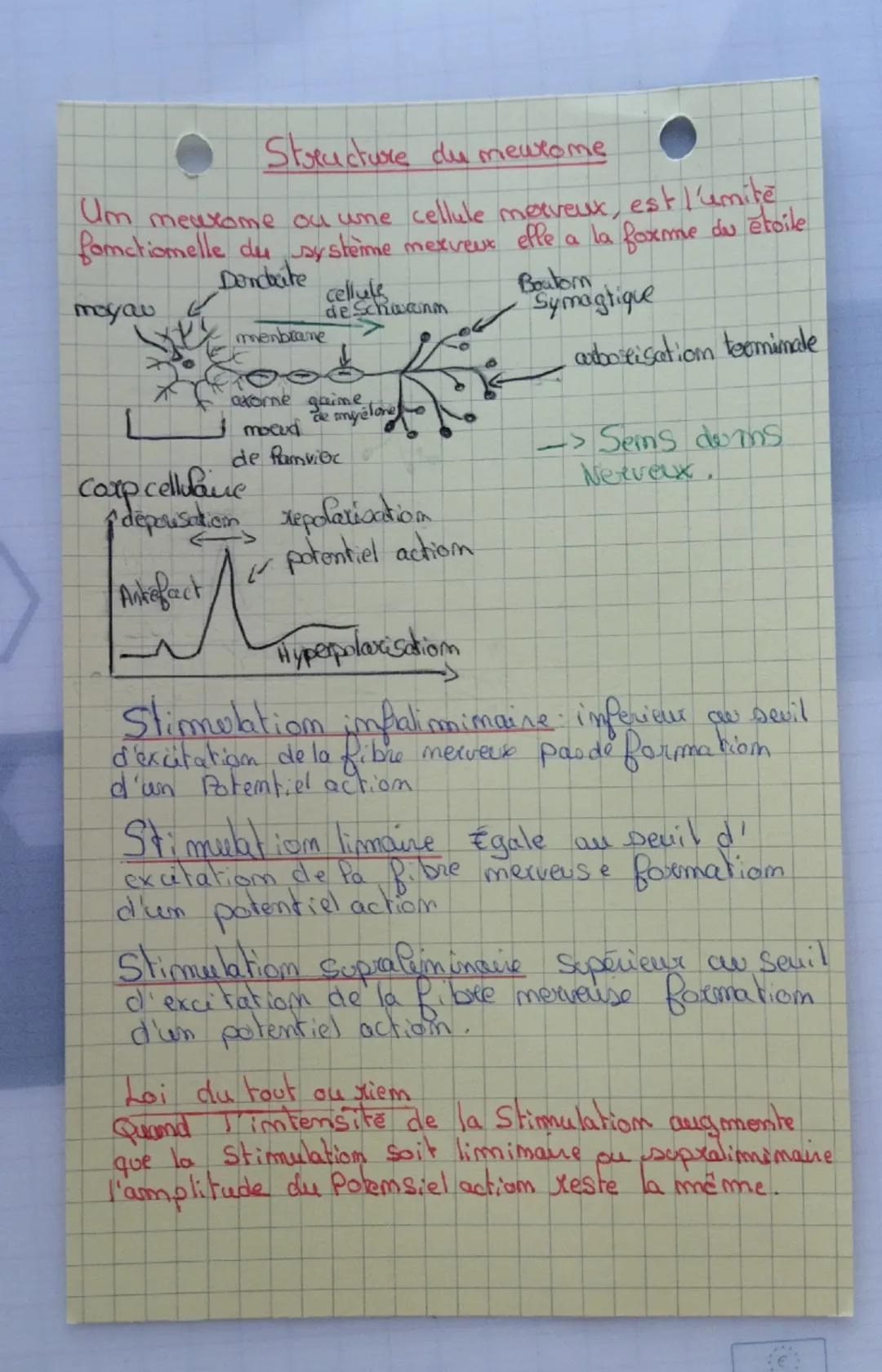 # Structure du mewtome
Um meuxome ou une cellule merveux, est l'umite
fomatiomelle du système mexveux efle a la foxme du étoile
moyau
Dendat