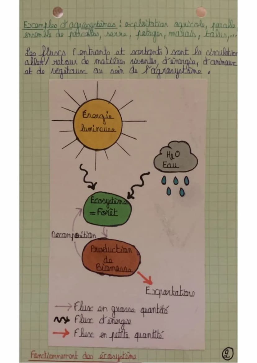 Agrononie
Chapitre 11 Les fonctions des agroécosystamas
19/ Nation d'agraecosystáme
in écosystème est constitué
par
dause éléments
ringissan