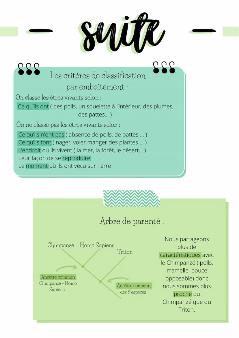 SSS
À connaître:
SSS
Darwin
19è siècle
Attribut:
sut
Définition:
Caractère morphologique
ou anatomique possédé
par une espèce
Attribut commu