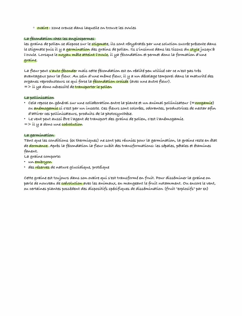 VT
Chp 3: la reproduction de la plante, entre vie fixée et mobilité
Les angiospermes sont fixées au sol par des racine. Dans l'incapacité de