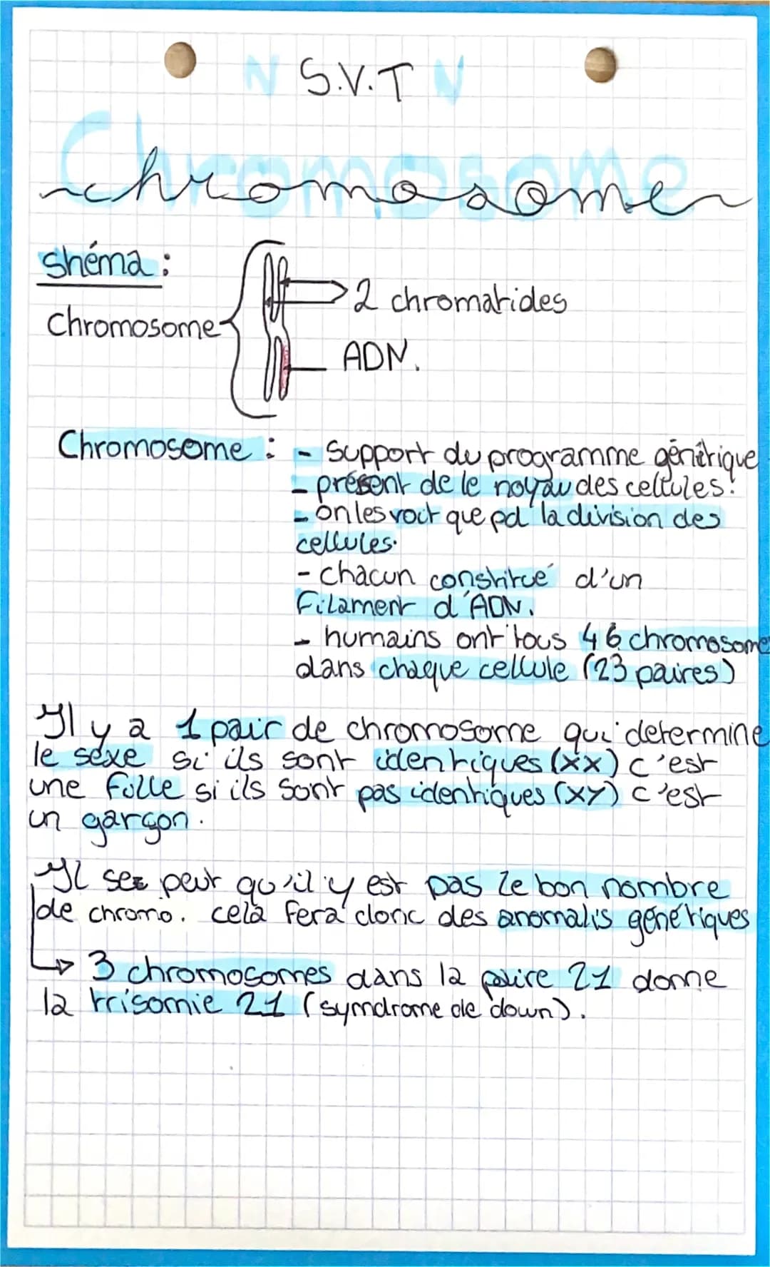 Les chromosomes 