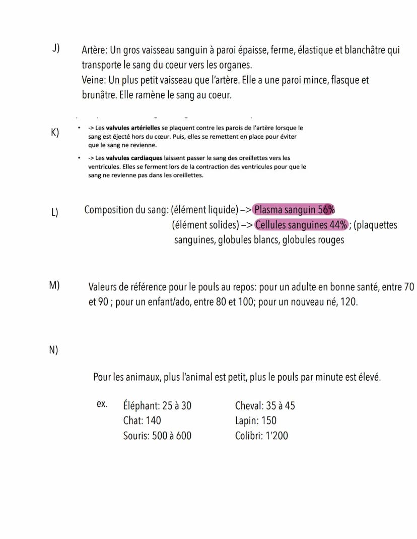 S.11: Système cardiovasculaire
A)
Scieness
veine cave supérieure
Définition: Système qui assure le transport du sang du coeur vers les diff