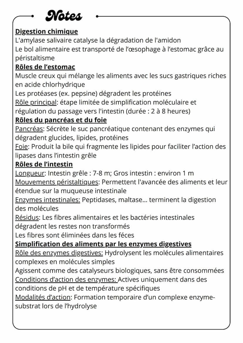 Notes
Digestion des aliments
Glandes
salivaires
Bouche
mécanique
•
⚫ chimique
Esophage
•
biologique
Pancréas
Estomac
(suc
pancréatiques)
Int