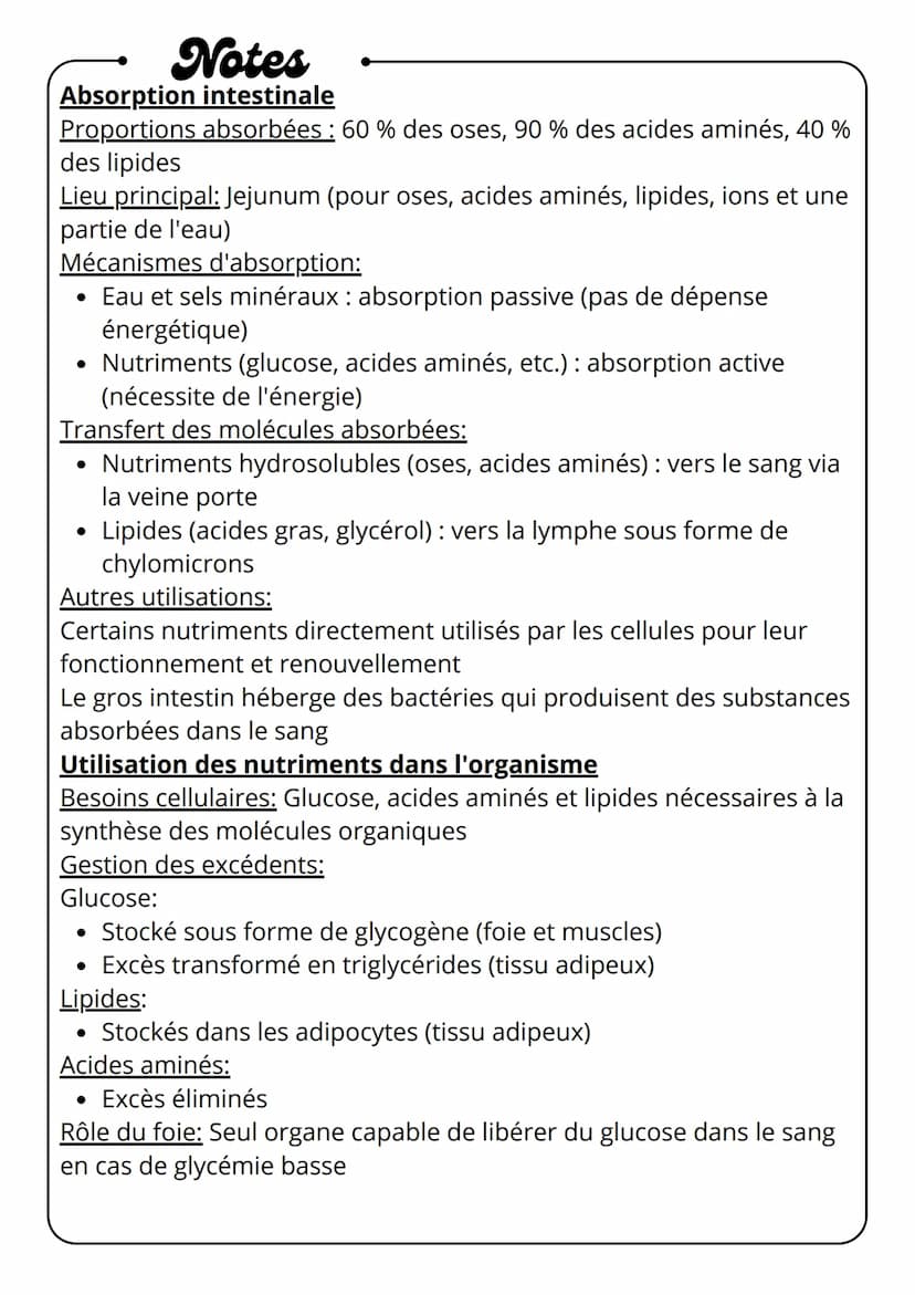 Notes
Digestion des aliments
Glandes
salivaires
Bouche
mécanique
•
⚫ chimique
Esophage
•
biologique
Pancréas
Estomac
(suc
pancréatiques)
Int