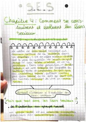 Know Chapitre 4 : Comment se construisent et évoluent les liens sociaux ? thumbnail