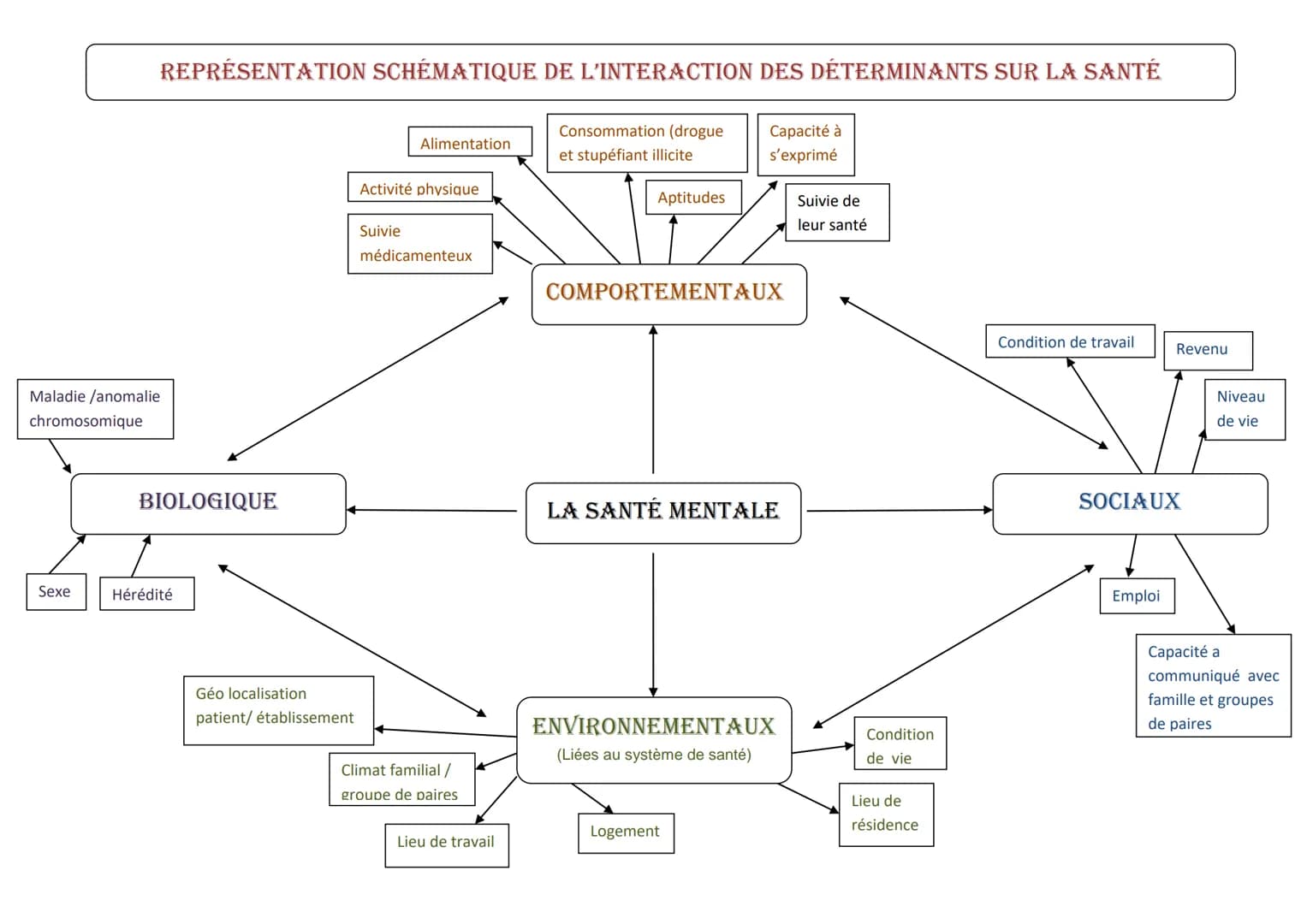REPRÉSENTATION SCHÉMATIQUE DE L'INTERACTION DES DÉTERMINANTS SUR LA SANTÉ
Capacité à
s'exprimé
Maladie /anomalie
chromosomique
Sexe
BIOLOGIQ