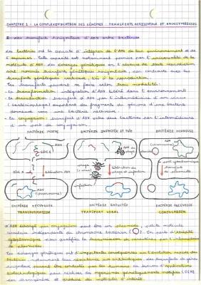 Know  transferts horizontaux et endosymbiose thumbnail