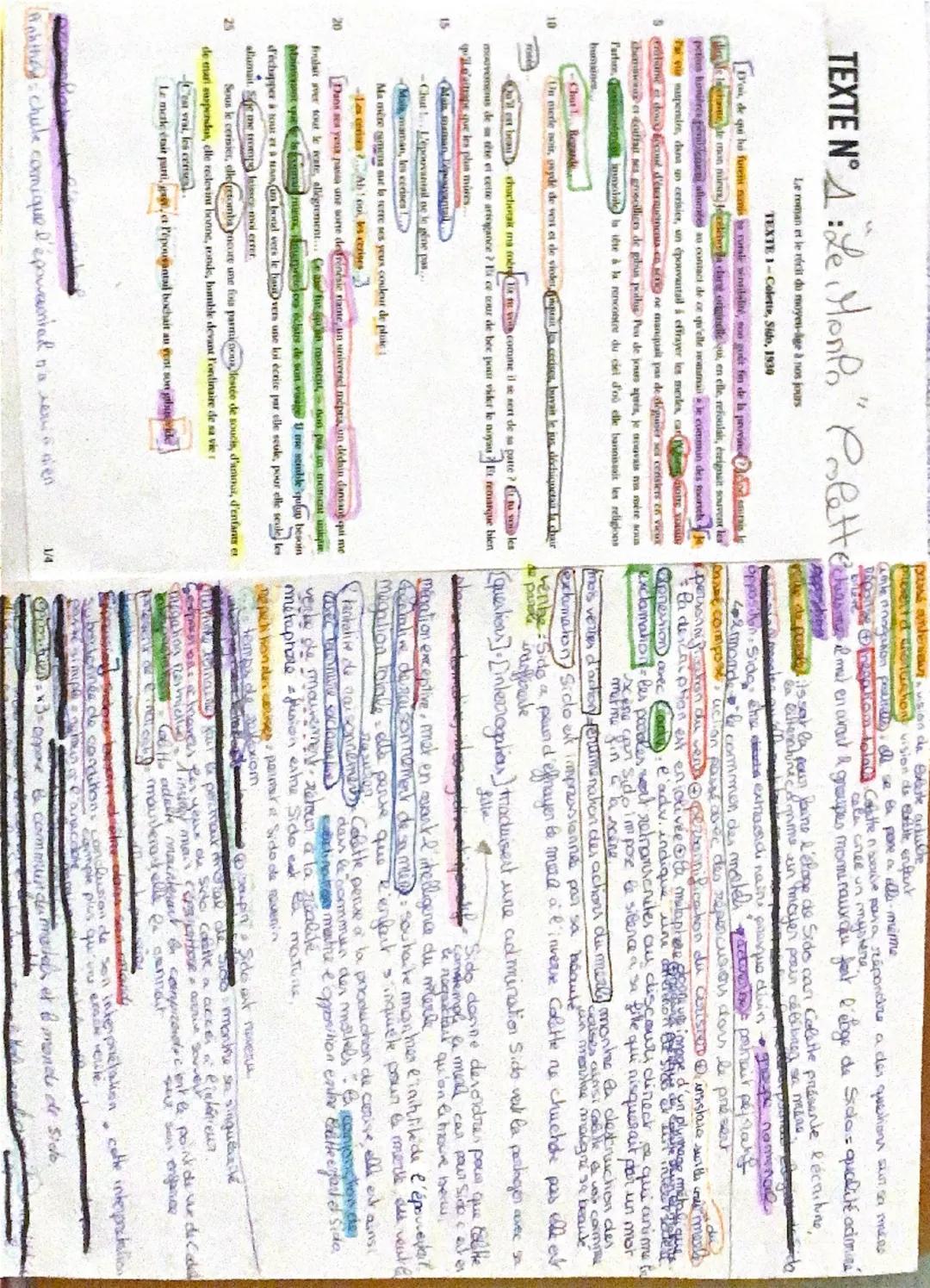 TEXTE N° : Le Monpo" Polette

Le roman et le récit du moyen-âge à nos jours

TEXTE 1-Colette, Sido, 1930

L'où, de qui ho furent nanis to to