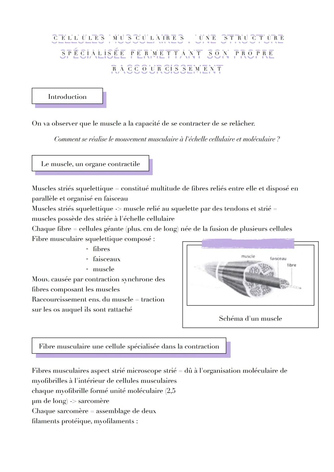 UNE STRUCTURE
SPÉCIALISÉE PERMETTANT SON PROPRE
VIT
TAVE TAL
CELLULES MUSCULAIRES
VI
LUI ILIULL
Introduction
LINTILI IZMENI
RACCOUR CISSEMEN