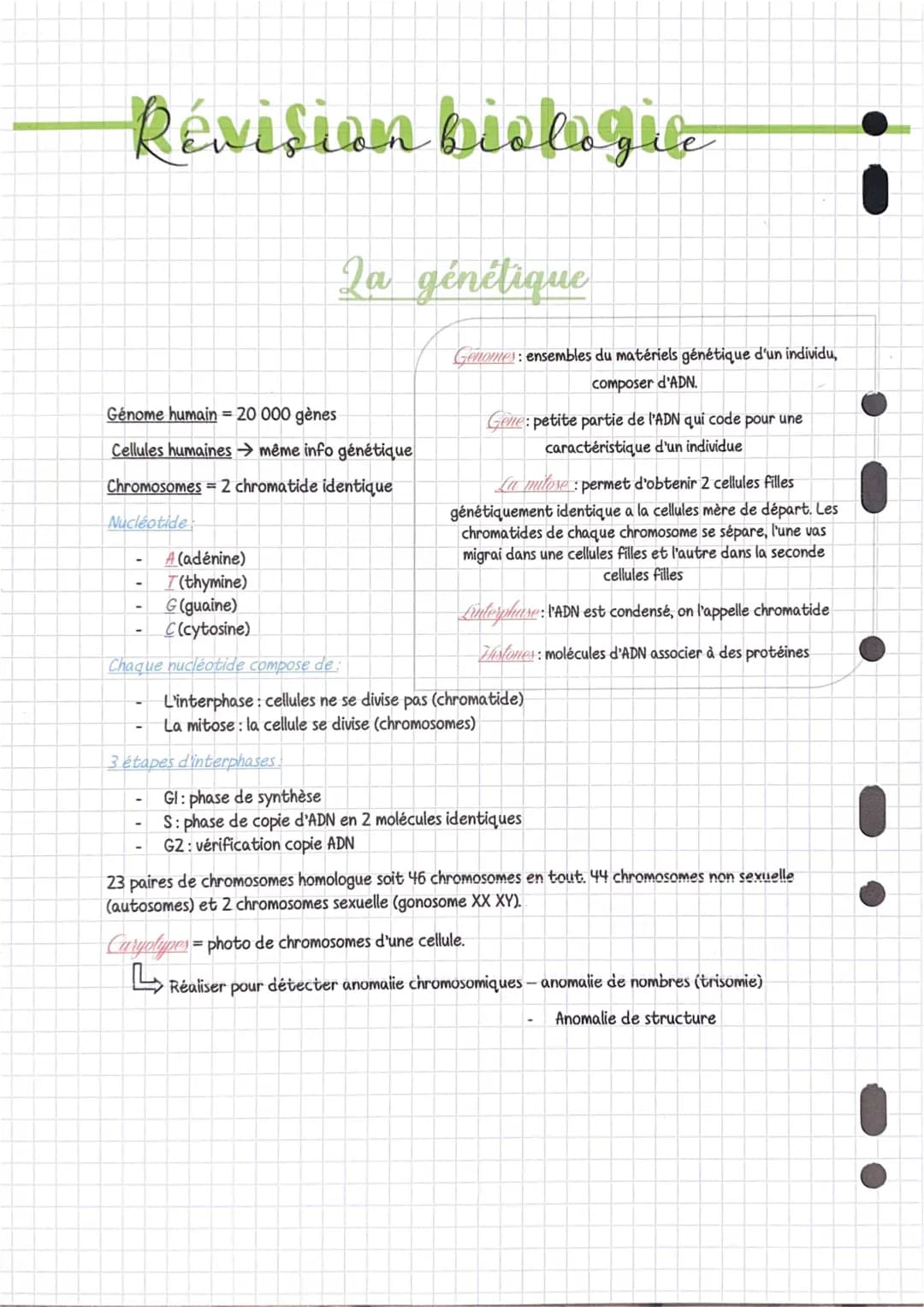 Tout sur l'ADN et la Mitose: Schémas, Phases, et Anomalies Chromosomiques