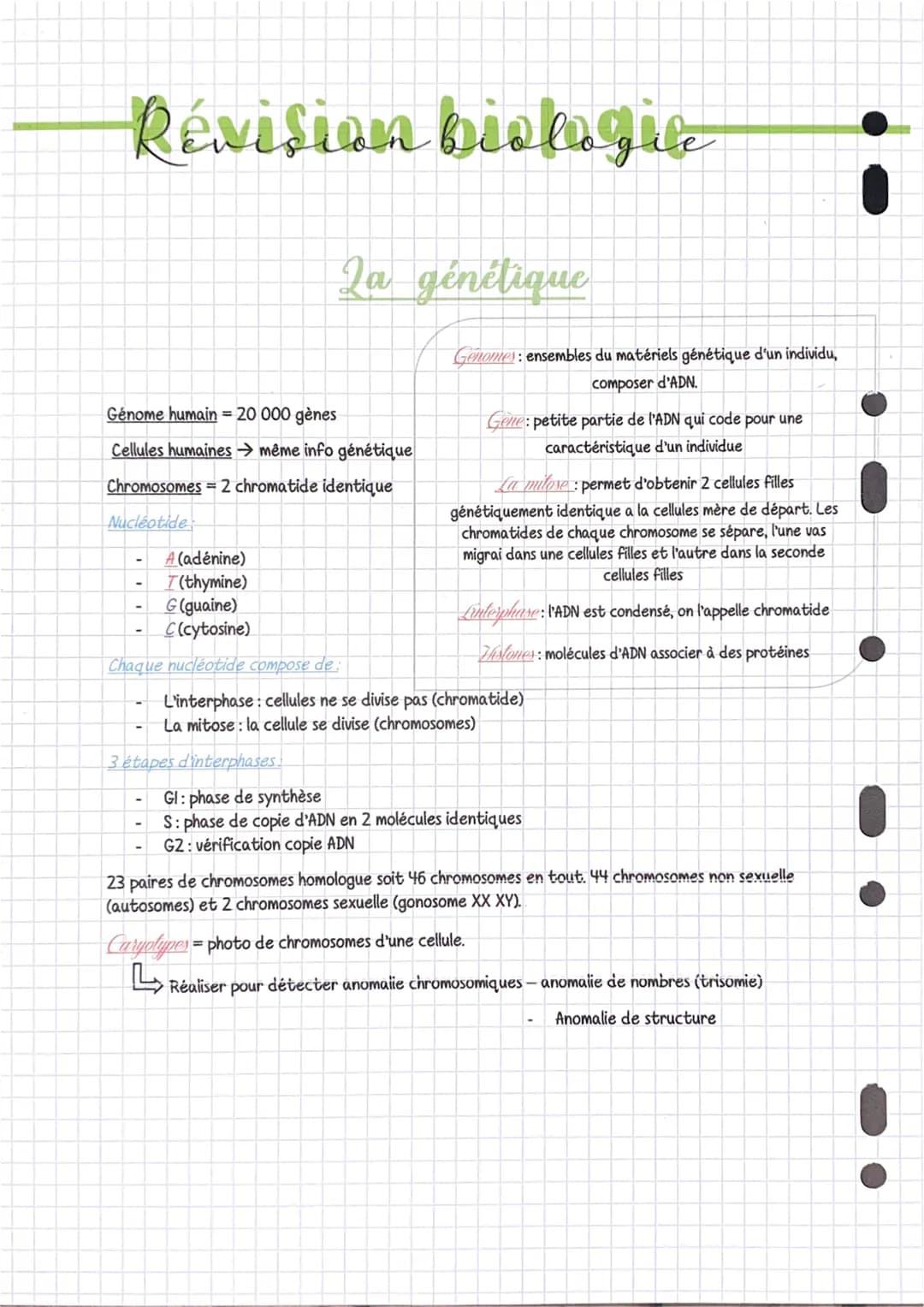 Révision biologie
La génétique
Génome humain = 20 000 gènes
Cellules humaines → même info génétique
Chromosomes 2 chromatide identique
Nucle