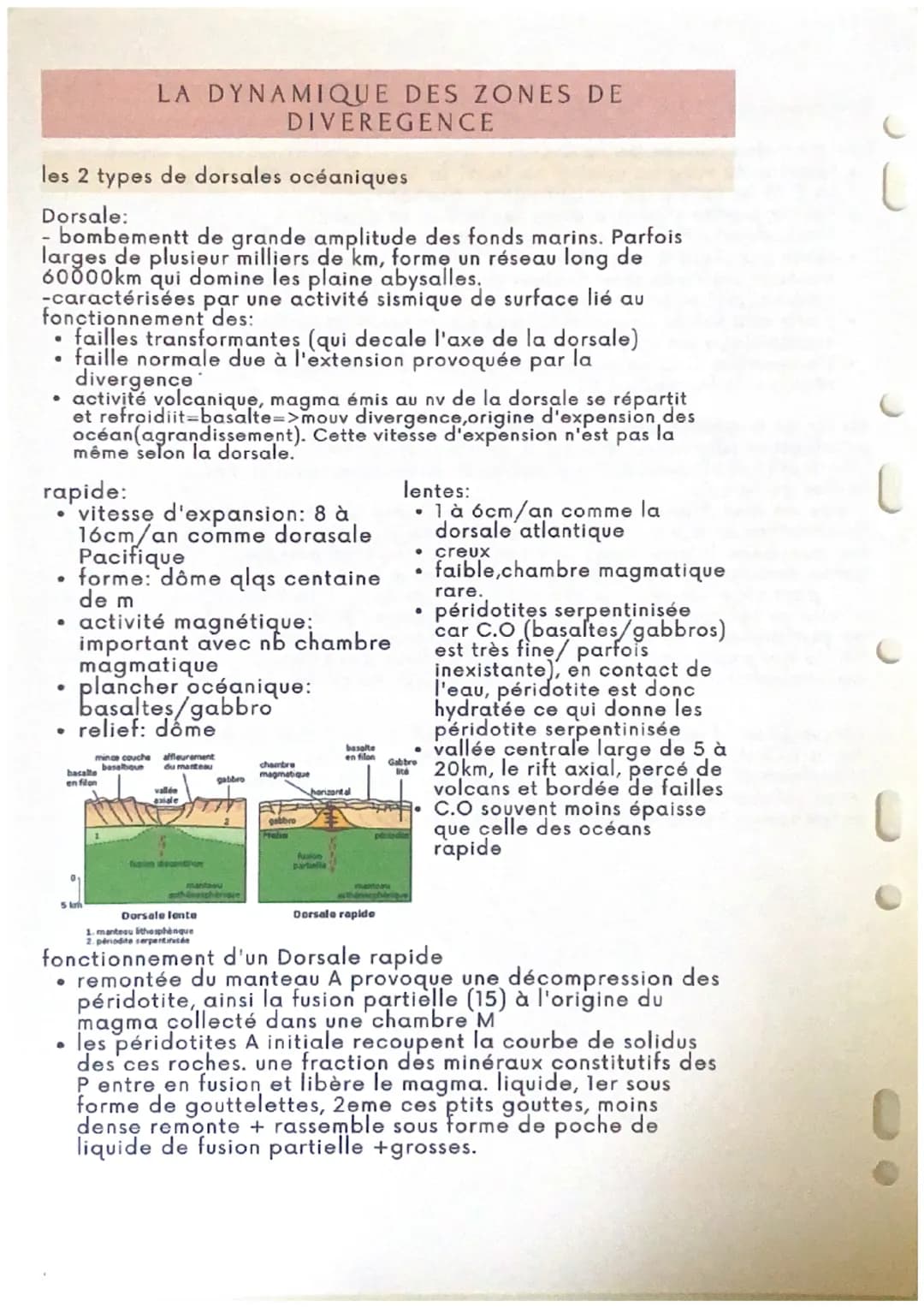 les 2 types de dorsales océaniques
Dorsale:
- bombementt de grande amplitude des fonds marins. Parfois
larges de plusieur milliers de km, fo