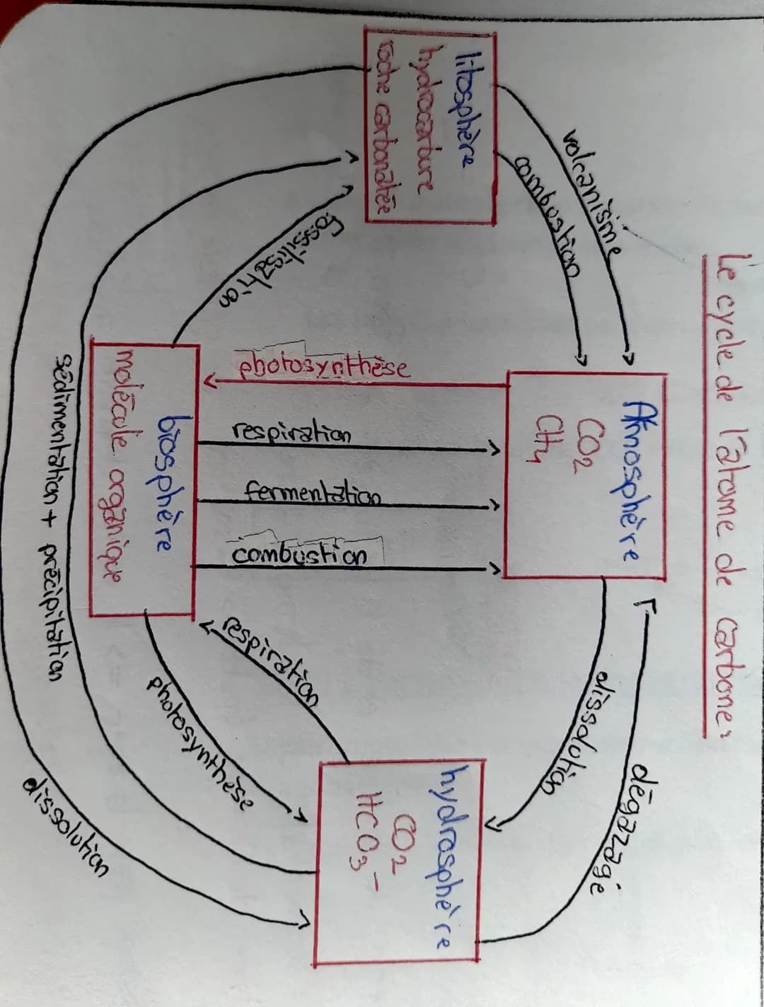 Le cycle de l'atome de carbone.
Amosphère
CO2
City
volcanisme
combustion
litosphère
hydrocarbure
roche carbonatee
fossilisation
photosynthes